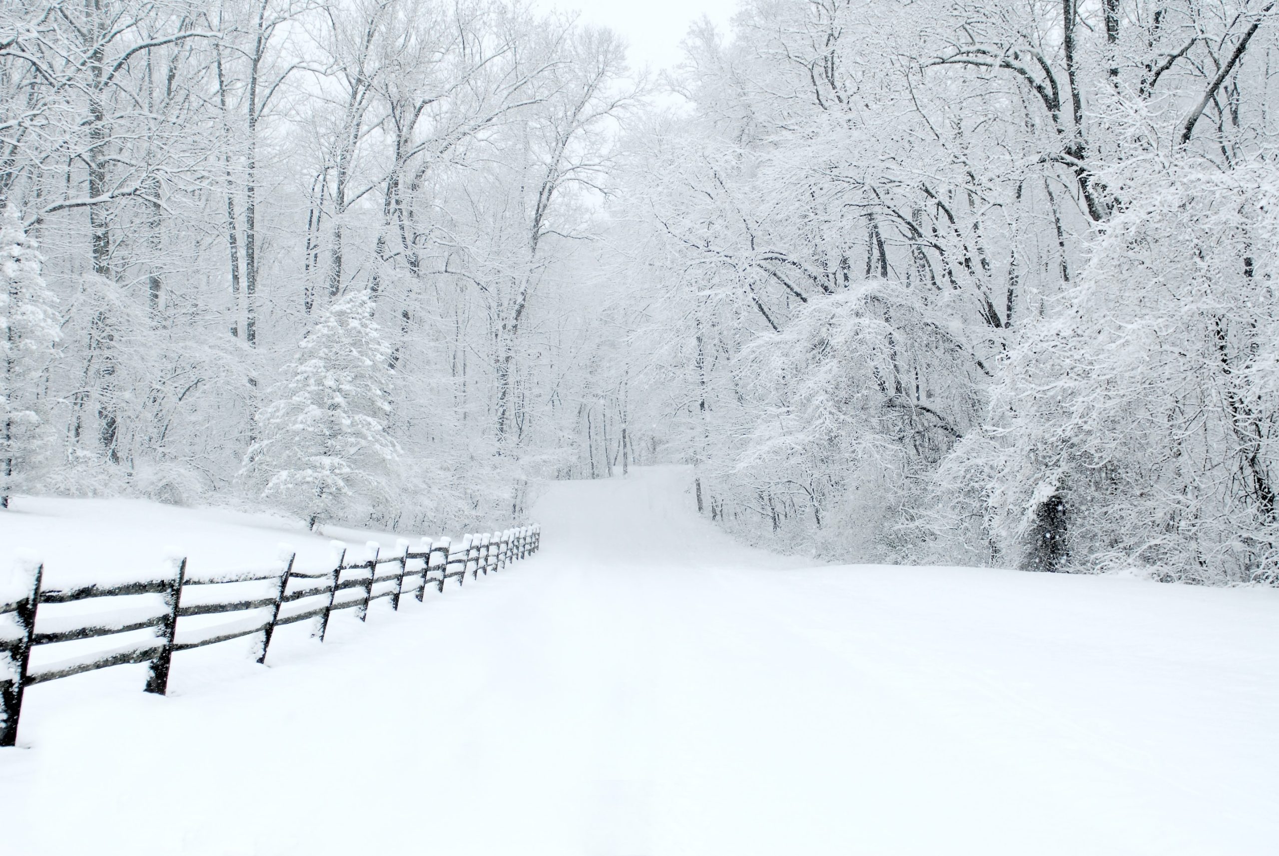 Snow storm in Chester County by Annie Nyle on Unsplash